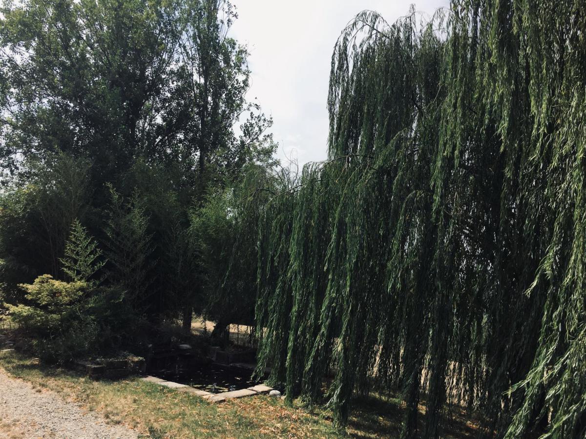 הוילה Casteggio Il Biancospino מראה חיצוני תמונה