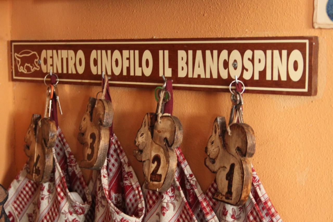 הוילה Casteggio Il Biancospino מראה חיצוני תמונה